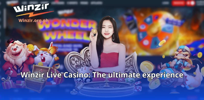 Winzir Live Casino Review