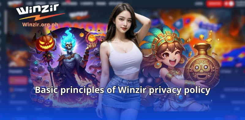 Basic principles of Winzir privacy policy