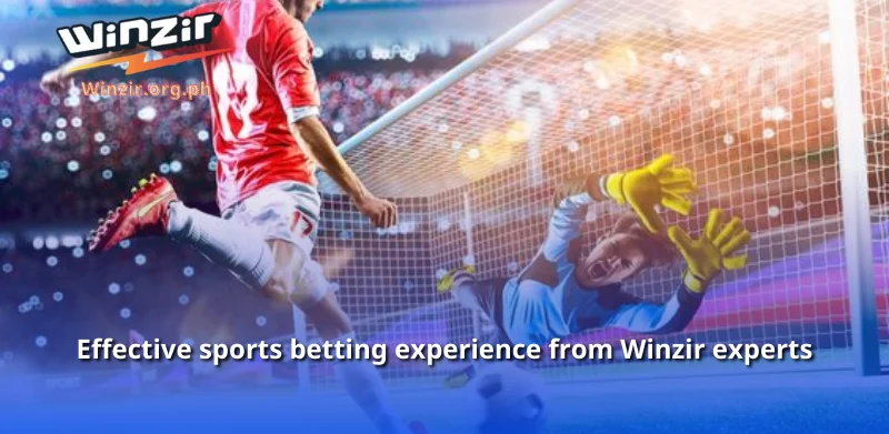 Effective sports betting experience from Winzir experts