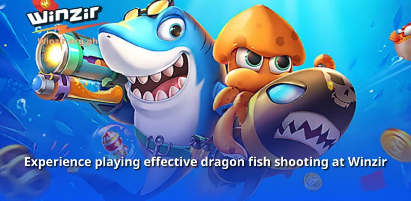 Experience playing effective dragon fish shooting at Winzir