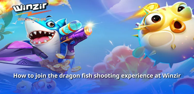 How to join the dragon fish shooting experience at Winzir