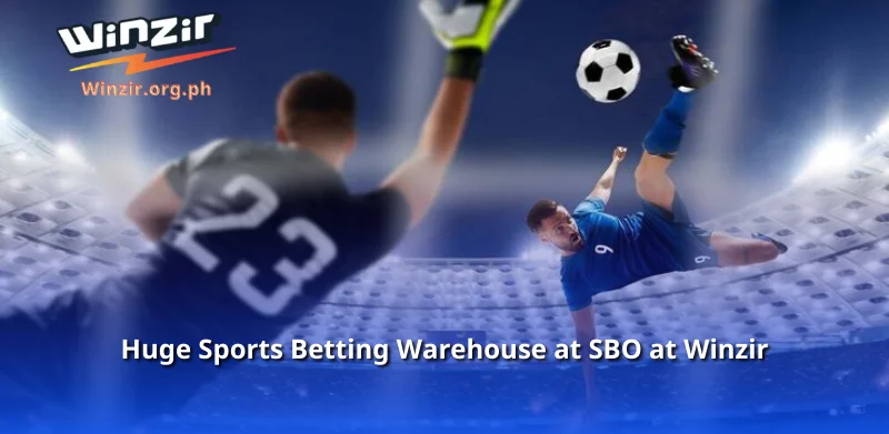 Huge Sports Betting Warehouse at SBO at Winzir