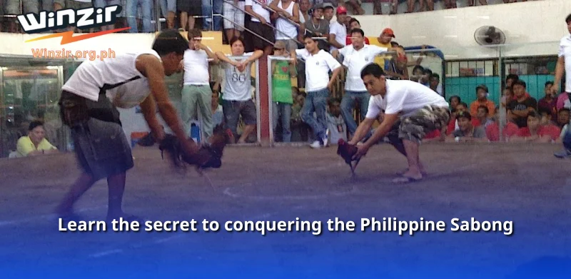 Learn the secret to conquering the Philippine Sabong