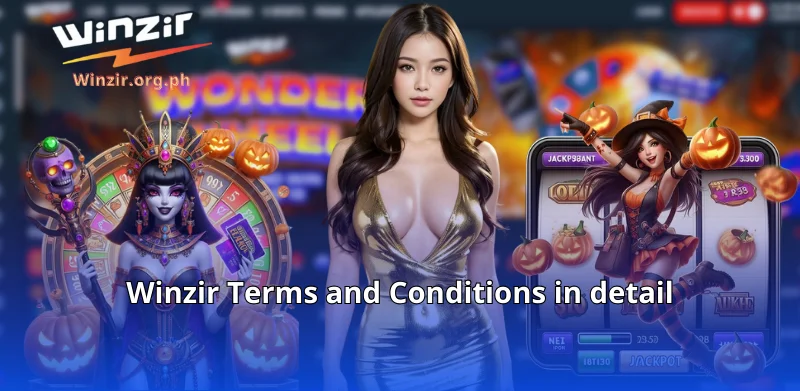 Winzir Terms and Conditions in detail